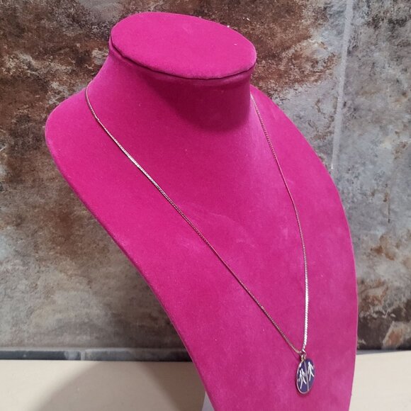 Silver Toned Necklace Round Dark Blue Steven Ministries Pendant - Picture 4 of 9